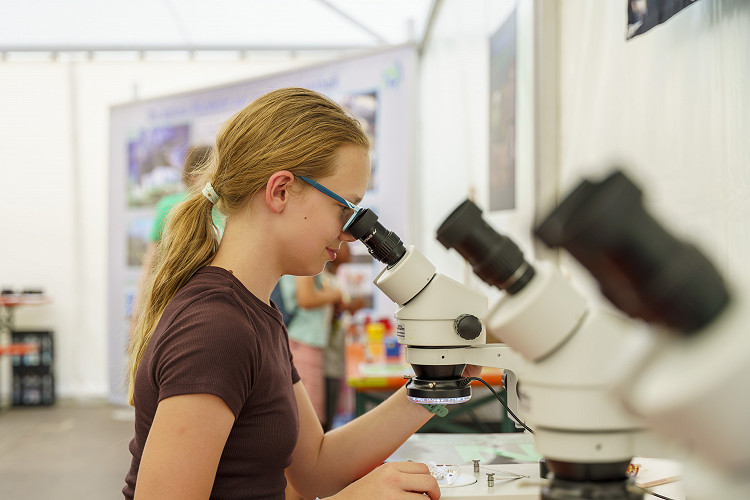 Mädchen mit blauer Brille betrachtet durch ein Stereomikroskop eine Probe bei einer Mitmachstation in einem Ausstellungszelt.